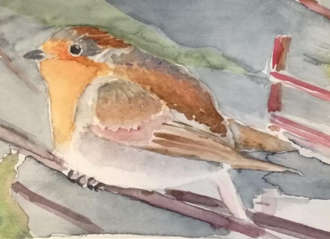 Aquarelleer en meer